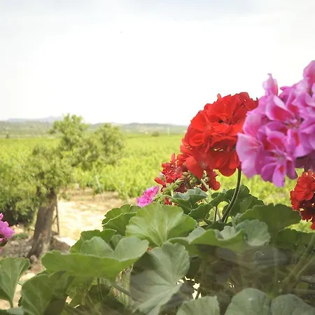 Bed & Breakfast Els Canterers Miravet